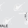 SMA male to BNC  female connector adapter 50 ohm  - 369-2.jpg